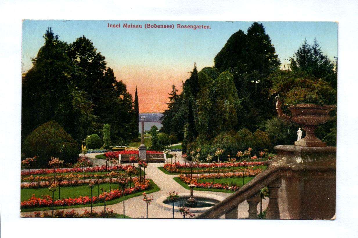 Ak Insel Mainau Bodensee Rosengarten 1934 Ak Insel Mainau Bodensee Rosengarten 1934