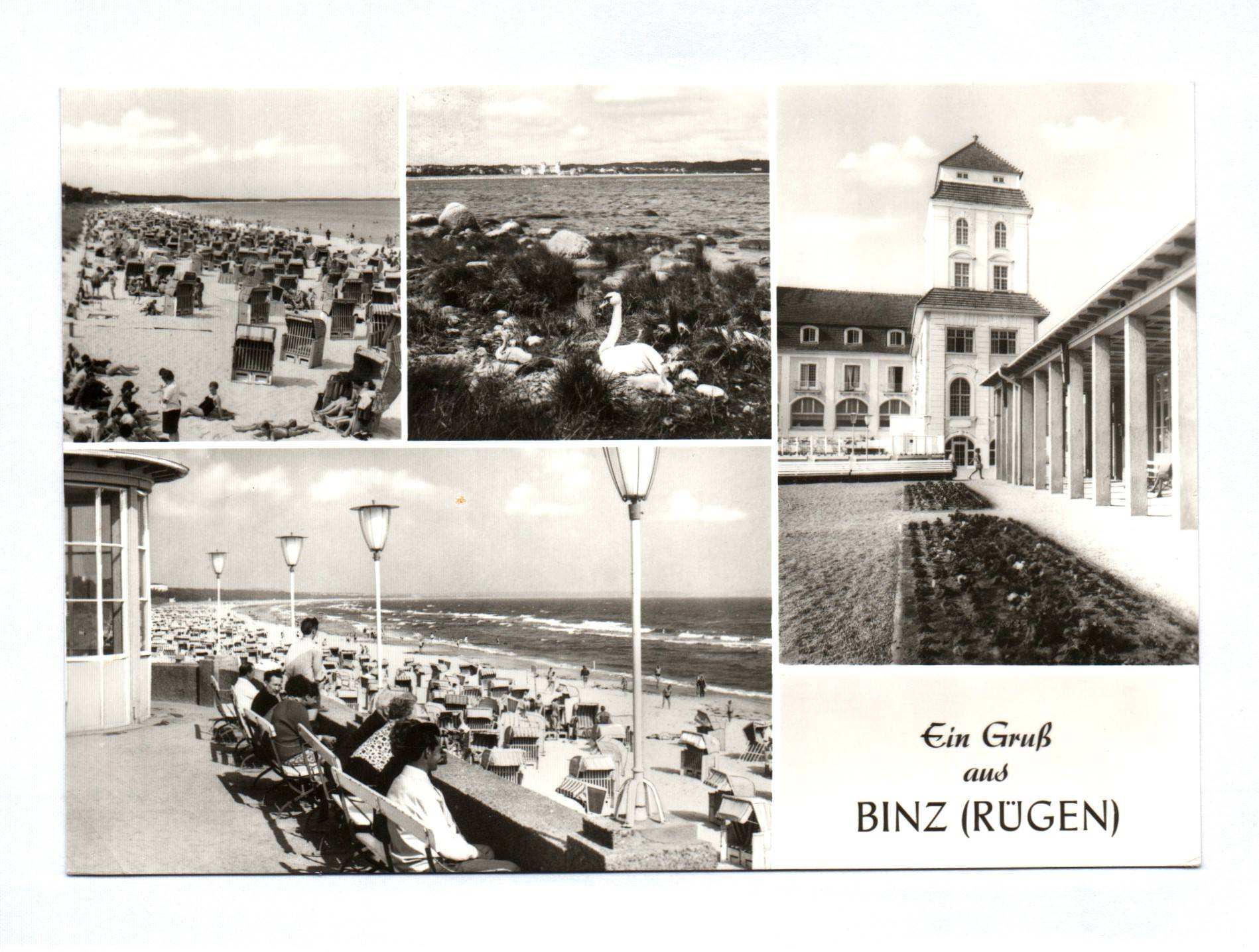 Ak Ostseebad Binz Rügen DDR 