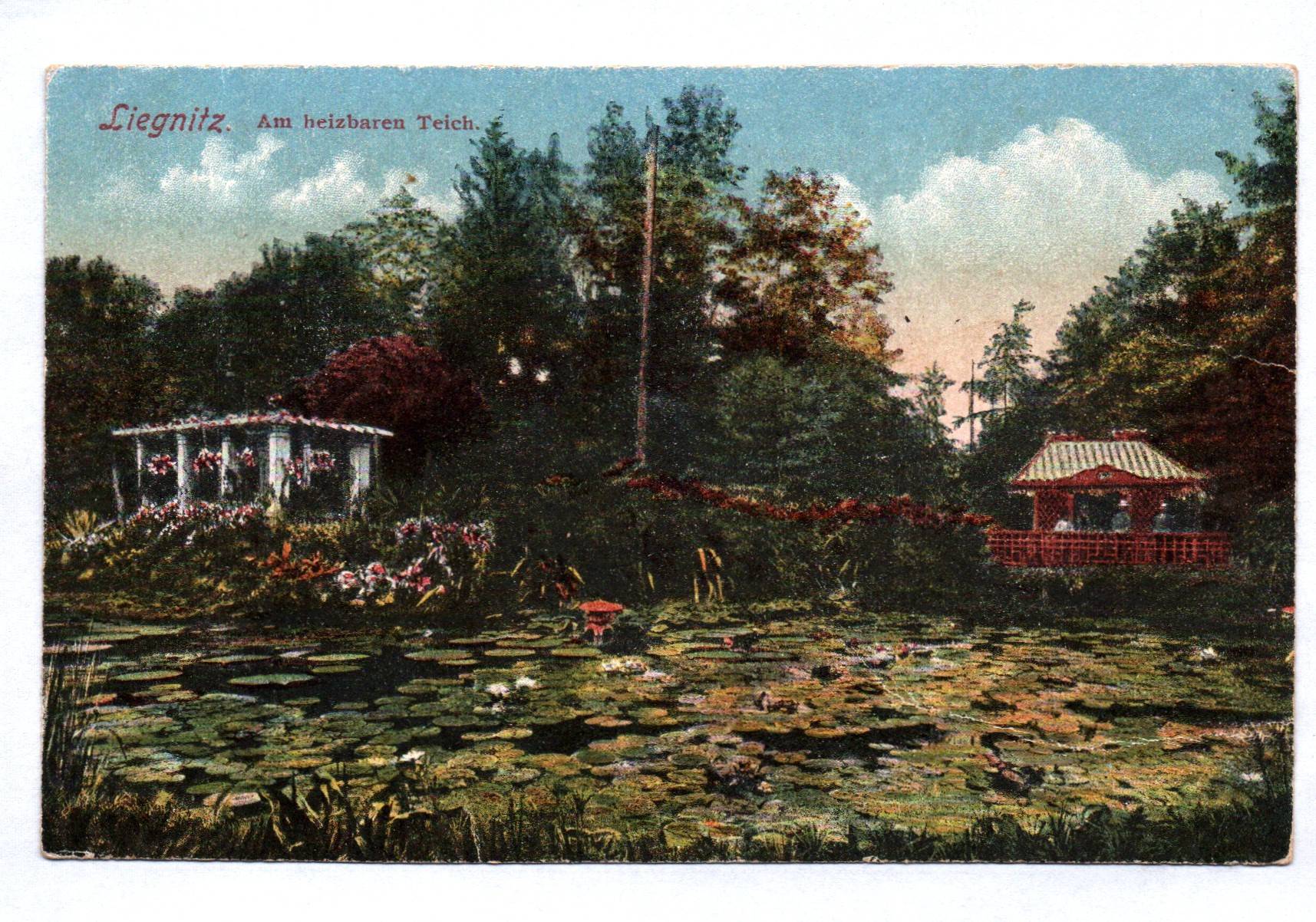 Ak Liegnitz Am heizbaren Teich 1918