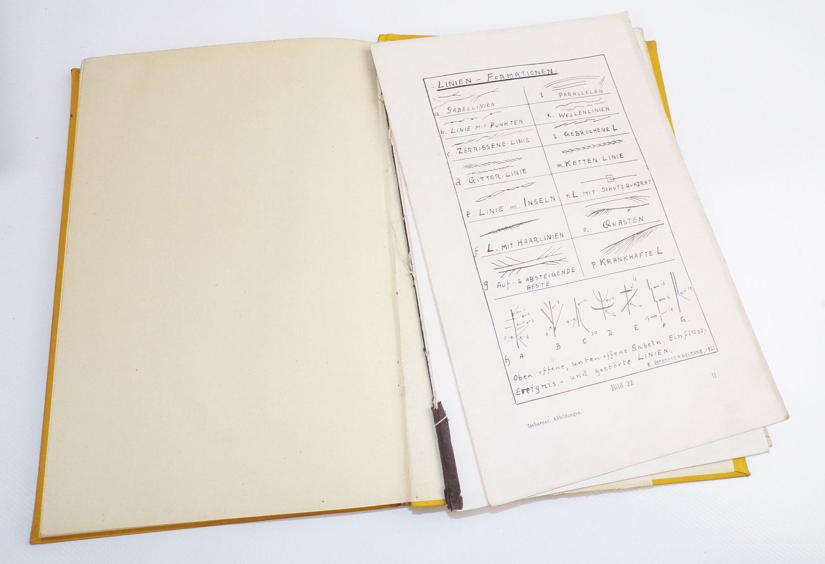 Wissenschaftliche Handlesekunst von Ernest Issberner Haldane 1928