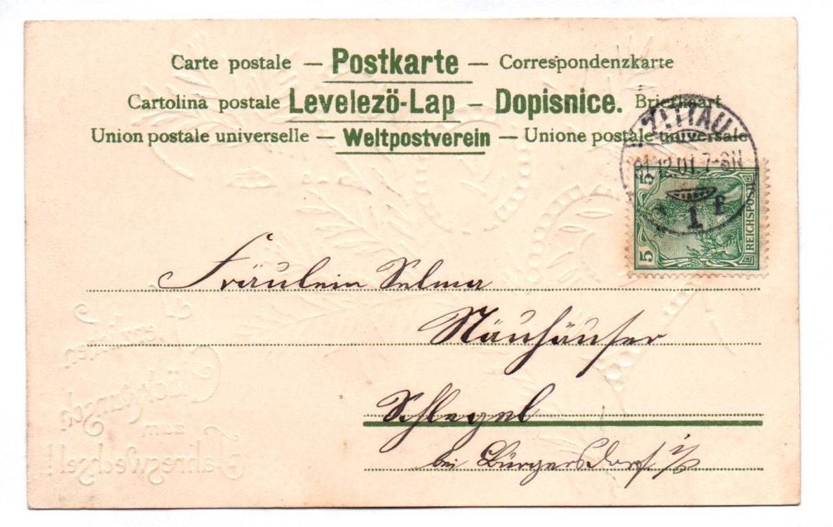 Neujahrguss Ak 1902 Jahreswechsel Tannenzweig 