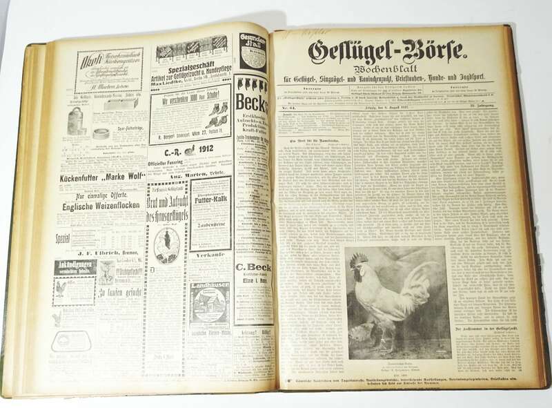 Geflügel Börse 1911 Tier Börse 1912 gebundene Zeitschrift Tierzucht 