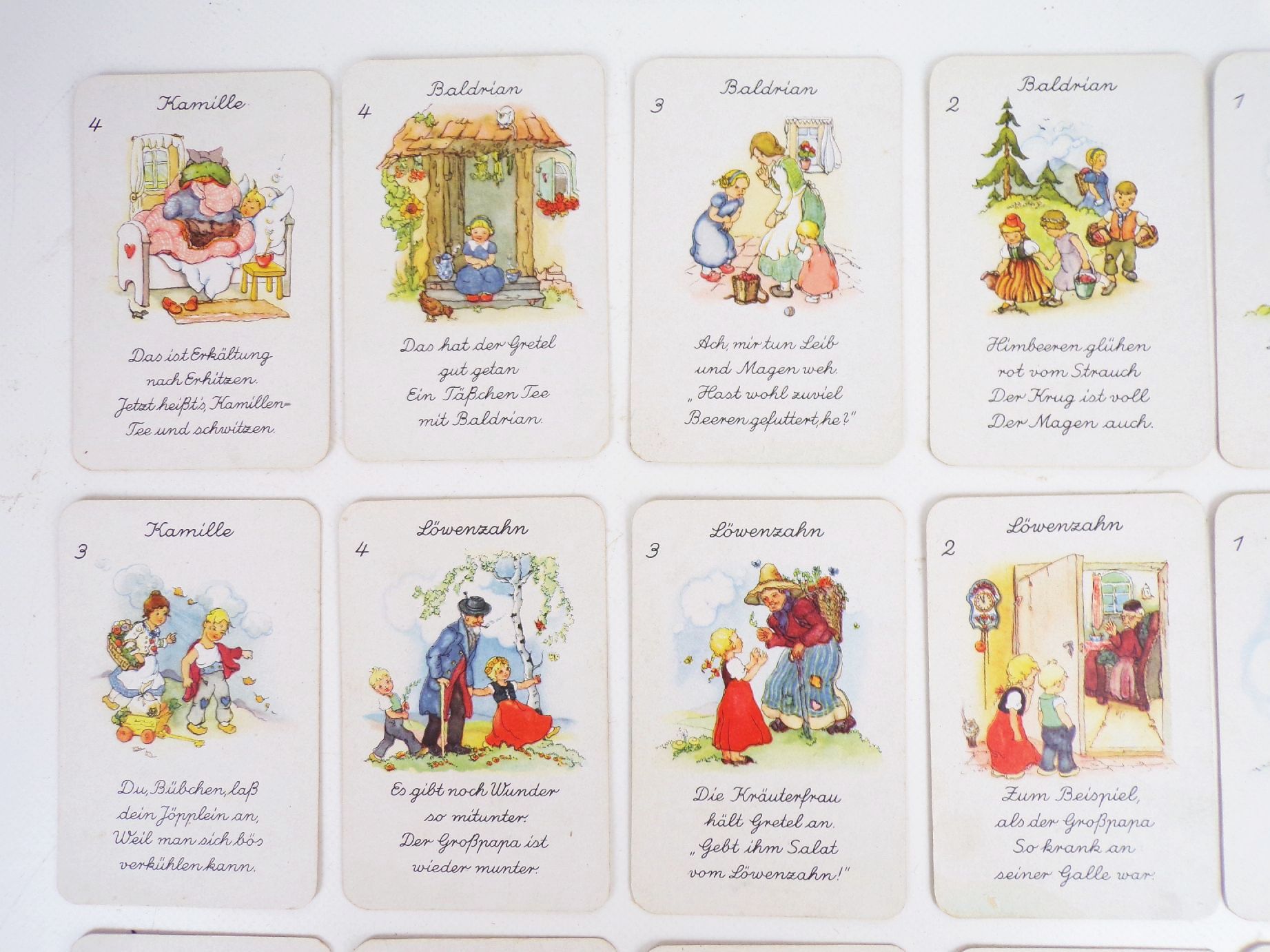 Heilkräuter Quartett Liesel Lauterborn Spielkartenfabrik Altenburg altes Kartenspiel