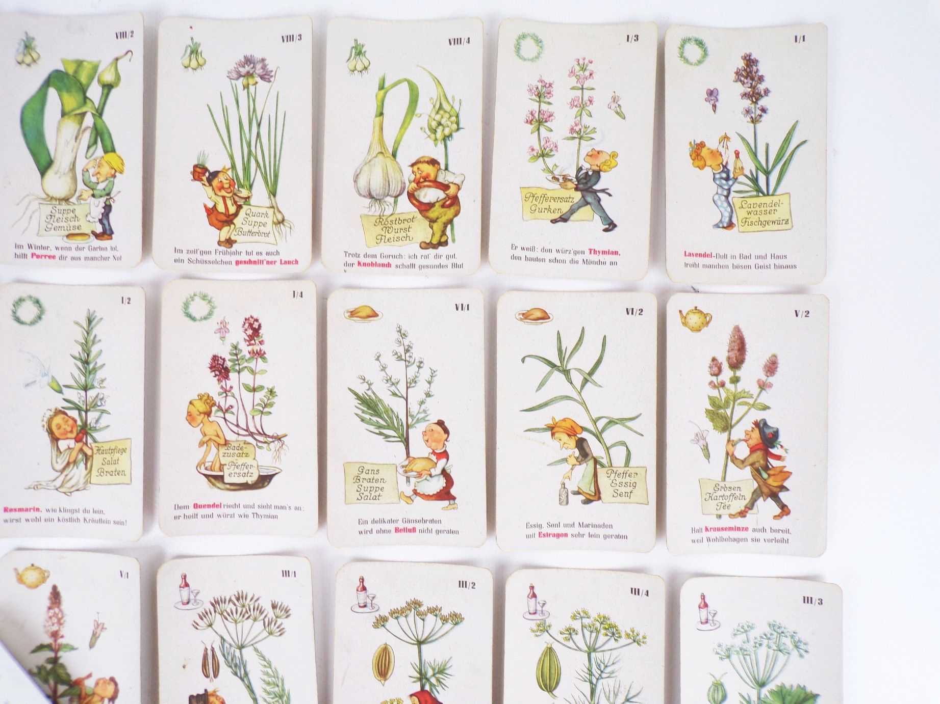 Guten Appetit Lehr Quartettspiel Schwarzer Peter Küchenkräuter um 1955 Guten Appetit Lehr Quartettspiel Schwarzer Peter Küchenkräuter um 1955