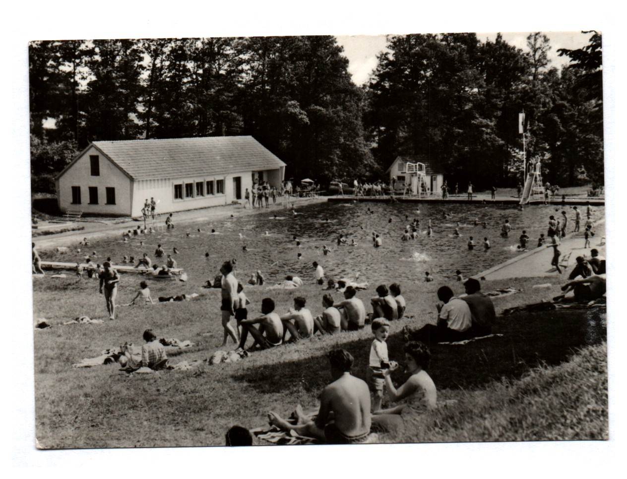 Foto Ansichtskarte Erlau Schwimmbad Thüringen Ak DDR Foto Ansichtskarte Erlau Schwimmbad Thüringen Ak DDR