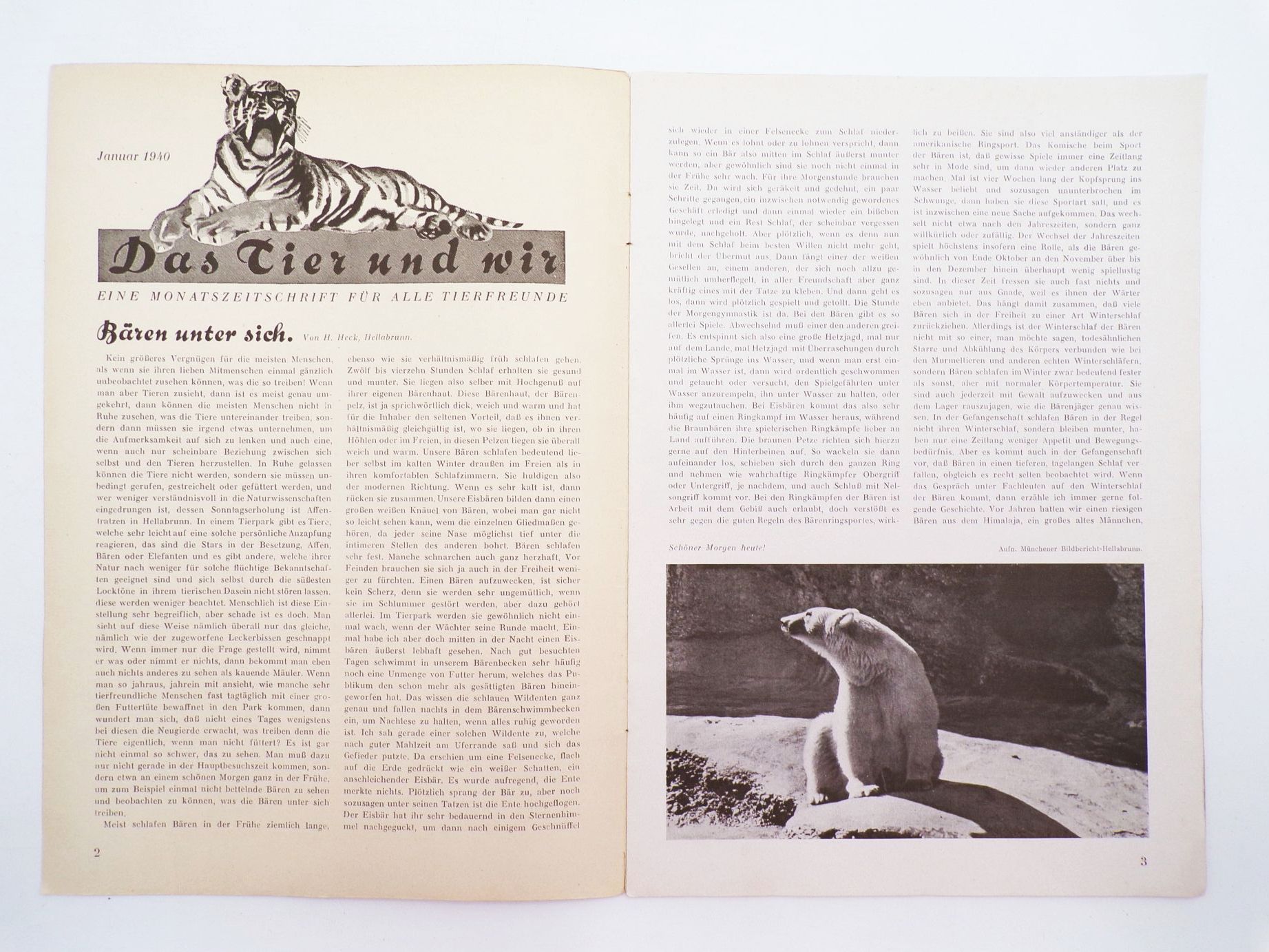 Das Tier und Wir Januar 1940 Monatsschrift für alle Tierfreunde München Eisbär