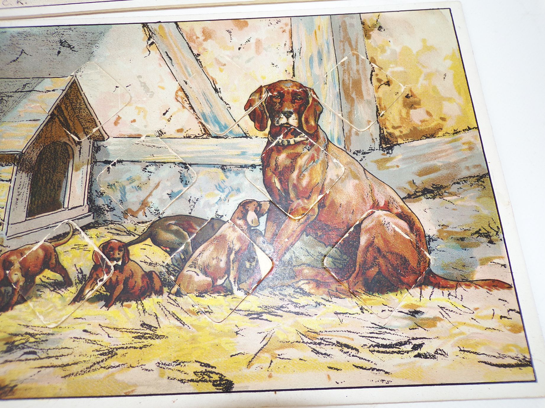 Tier Bilder Lotto Verlag Jos Scholz Mainz No 5119 Legespiel Puzzle