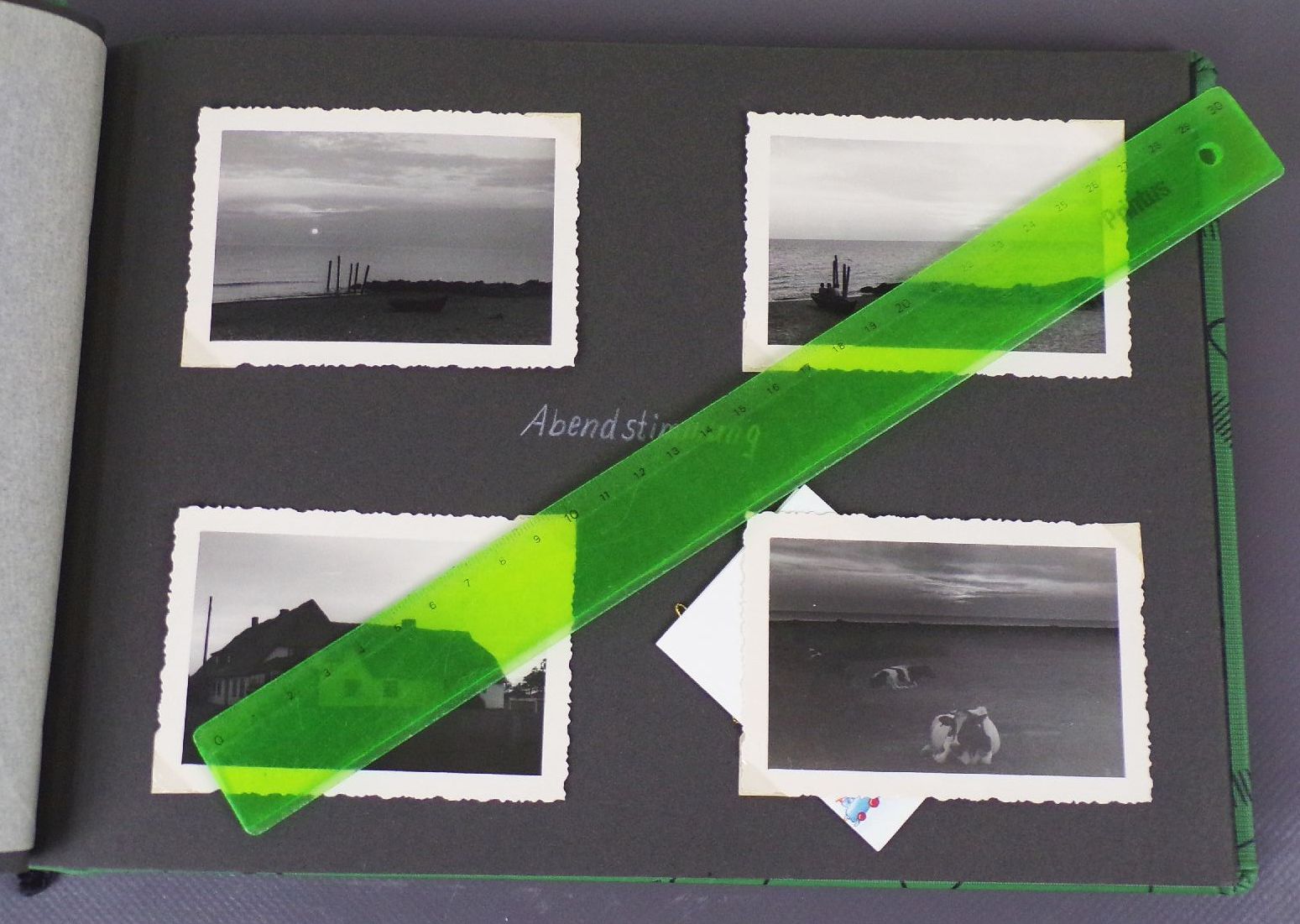 Fotoalbum Hiddensee Neuendorf Ostsee Urlaub 1958 Reitturnier Pirna Pferde Fotoalbum Hiddensee Neuendorf Ostsee Urlaub 1958 Reitturnier Pirna Pferde