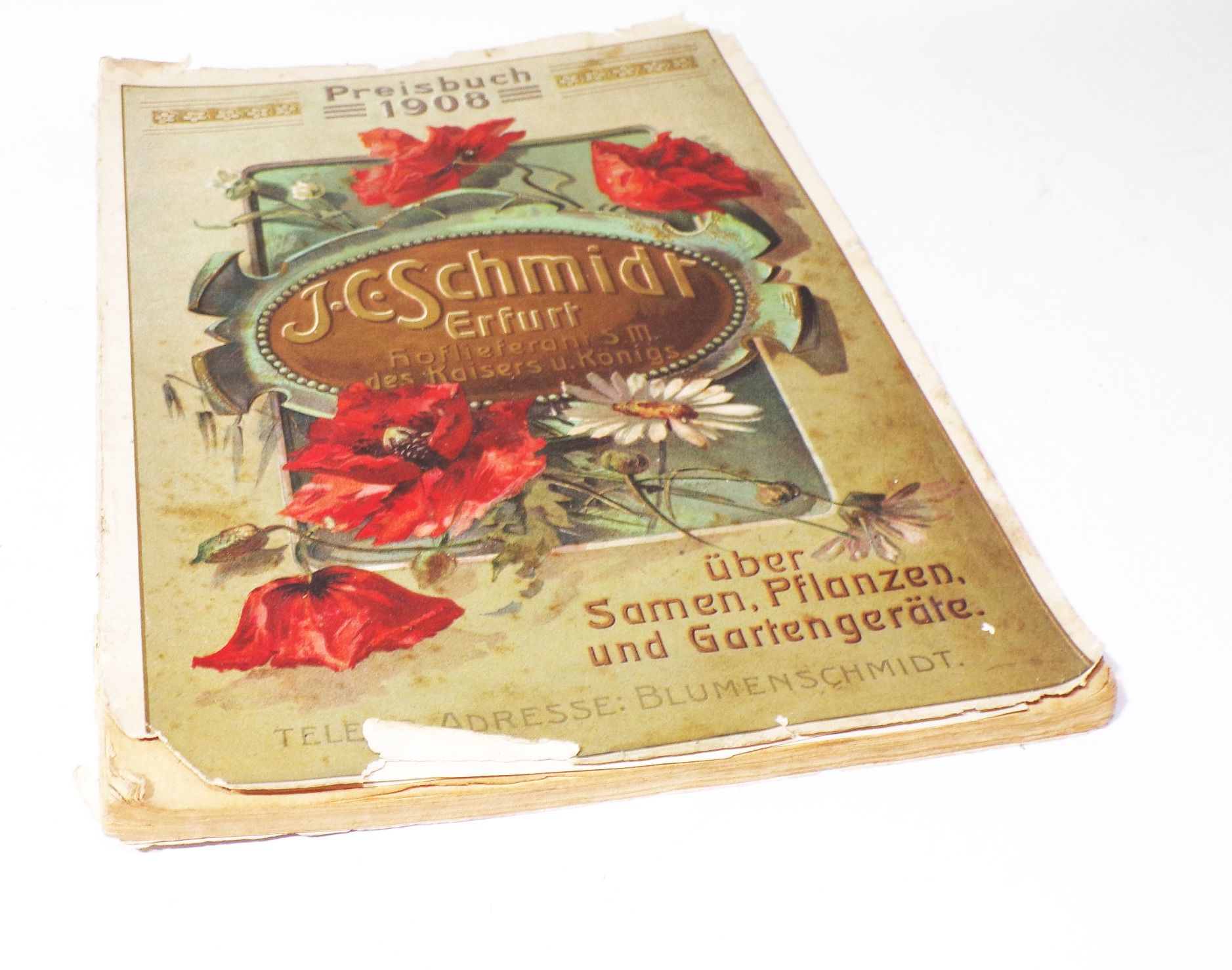 Katalog Schmidt Erfurt 1908 Preisbuch Blumen Gemüse Zimmerpflanzen Saatgut