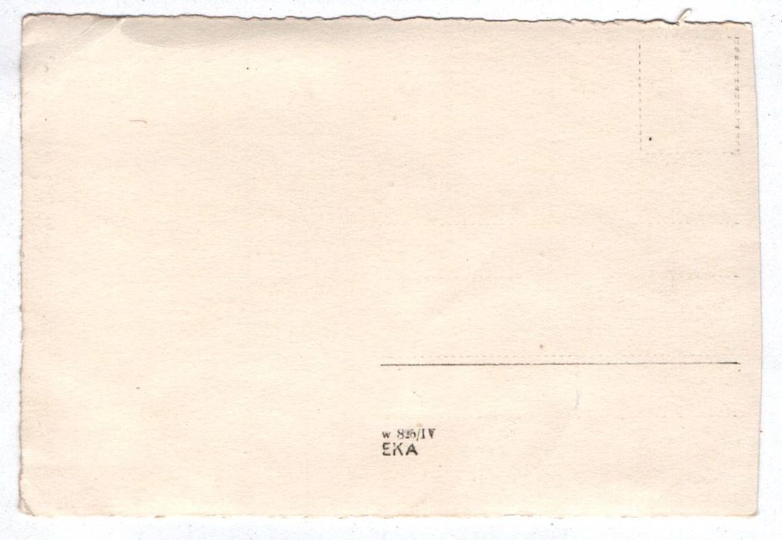 Foto Ak IR 26 wohl Freikorps Kragenspiegel um 1918 Foto Ak IR 26 wohl Freikorps Kragenspiegel um 1918