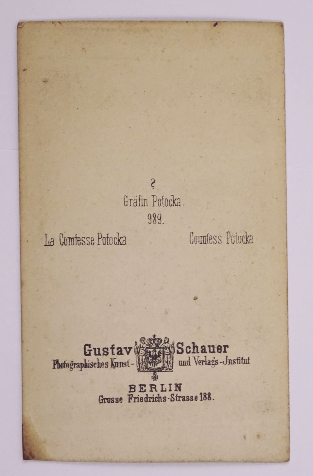 CDV Foto Gräfin Potocka Gustav Schauer Berlin 1890er CDV Foto Gräfin Potocka Gustav Schauer Berlin 1890er