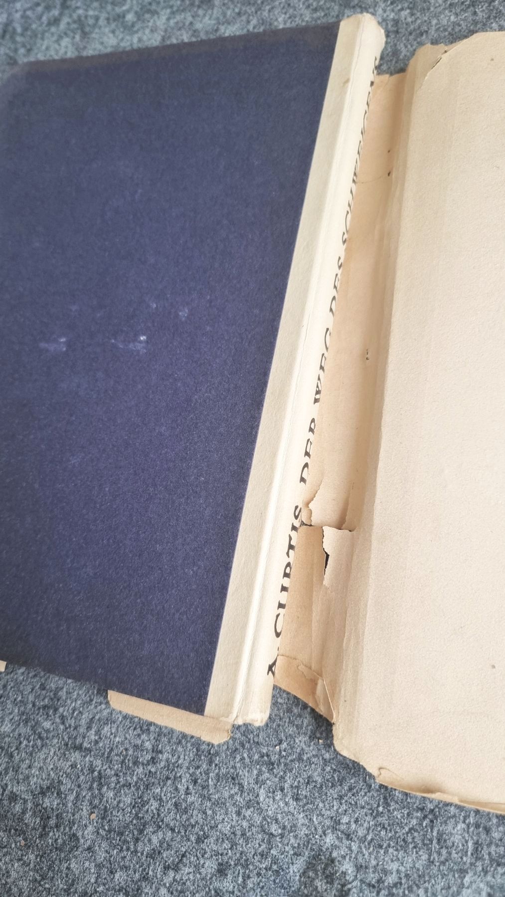 Der Weg des Schweigens A Curtis 1923 Den Weg zur Verinnerlichung Buch Der Weg des Schweigens A Curtis 1923 Den Weg zur Verinnerlichung Buch