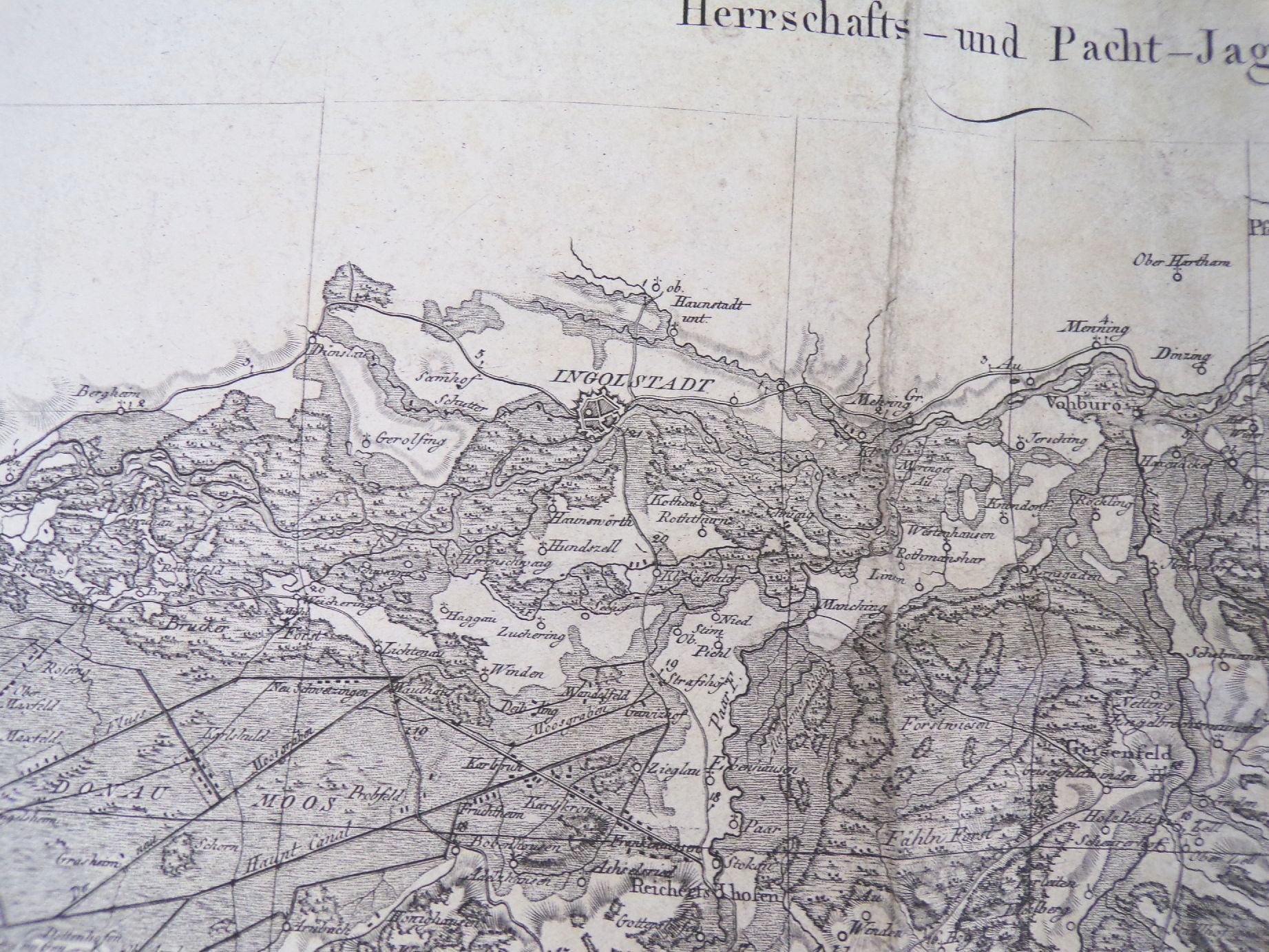 Übersichtskarte kgl Jagd Reviere im Leibgehege Münsingen Bayern um 1840 Karte