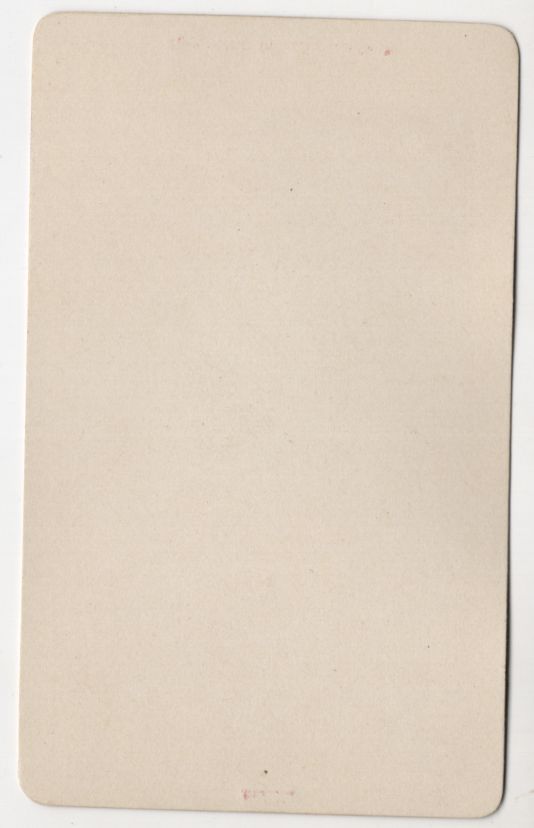 Fotografie CDV Foto Alpenrose Botanik Pflanze um 1880 koloriert Fotografie CDV Foto Alpenrose Botanik Pflanze um 1880 koloriert