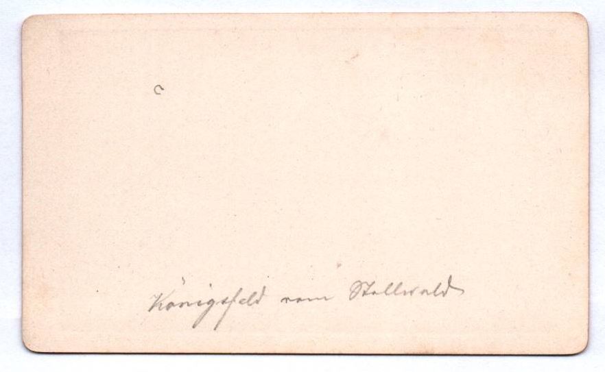 CDV Foto Königsfeld vom Stellwald um 1870