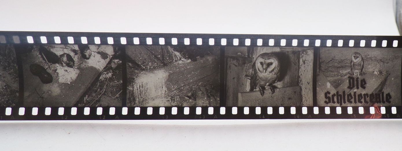 Alter Rollfilm Die Schleiereule Diafilm für Pouva Magica Alter Rollfilm Die Schleiereule Diafilm für Pouva Magica