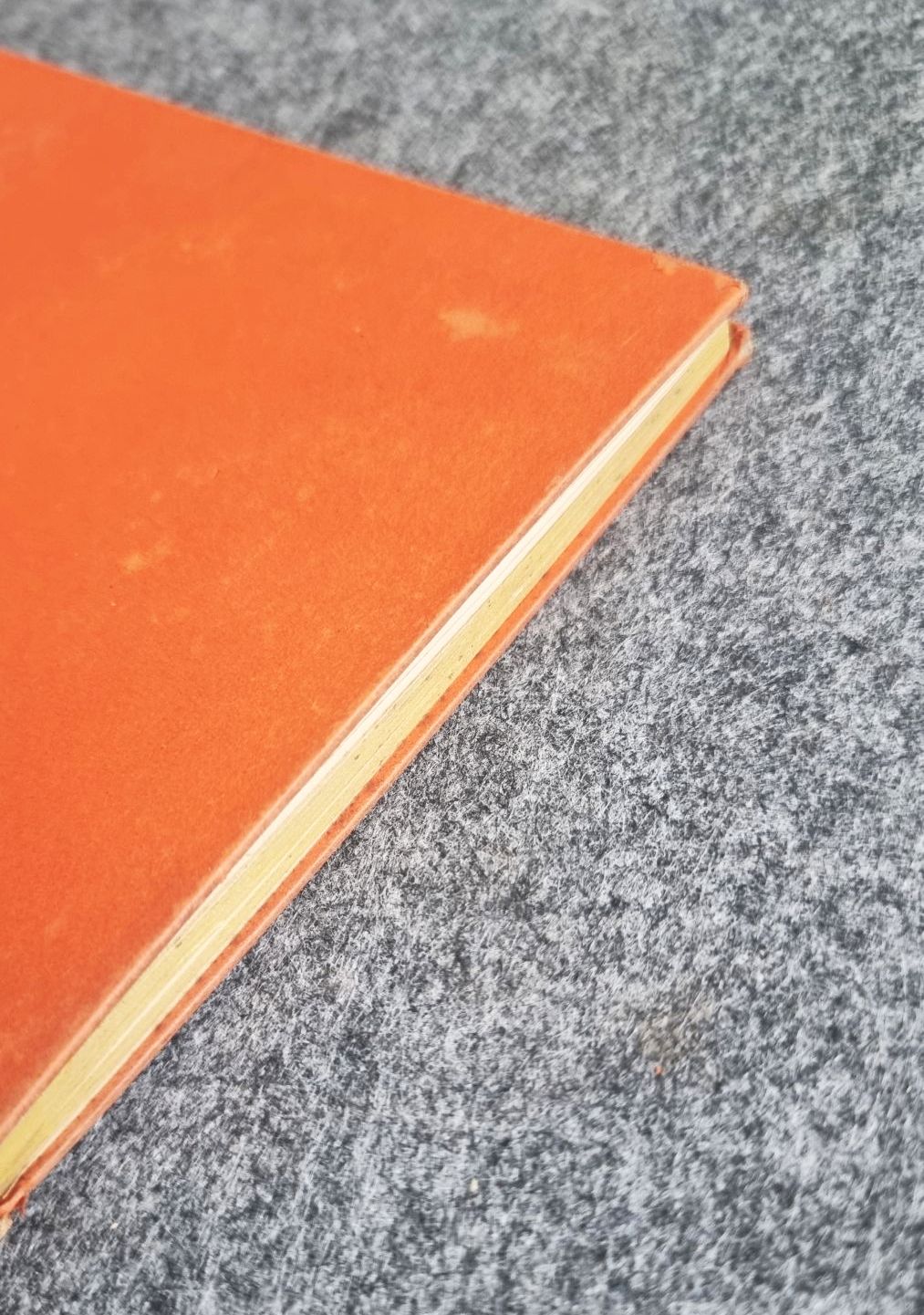 Ernst Toller Masse Mensch 1928 Gustav Kiepenheuer Verlag Potsdam Ernst Toller Masse Mensch 1928 Gustav Kiepenheuer Verlag Potsdam