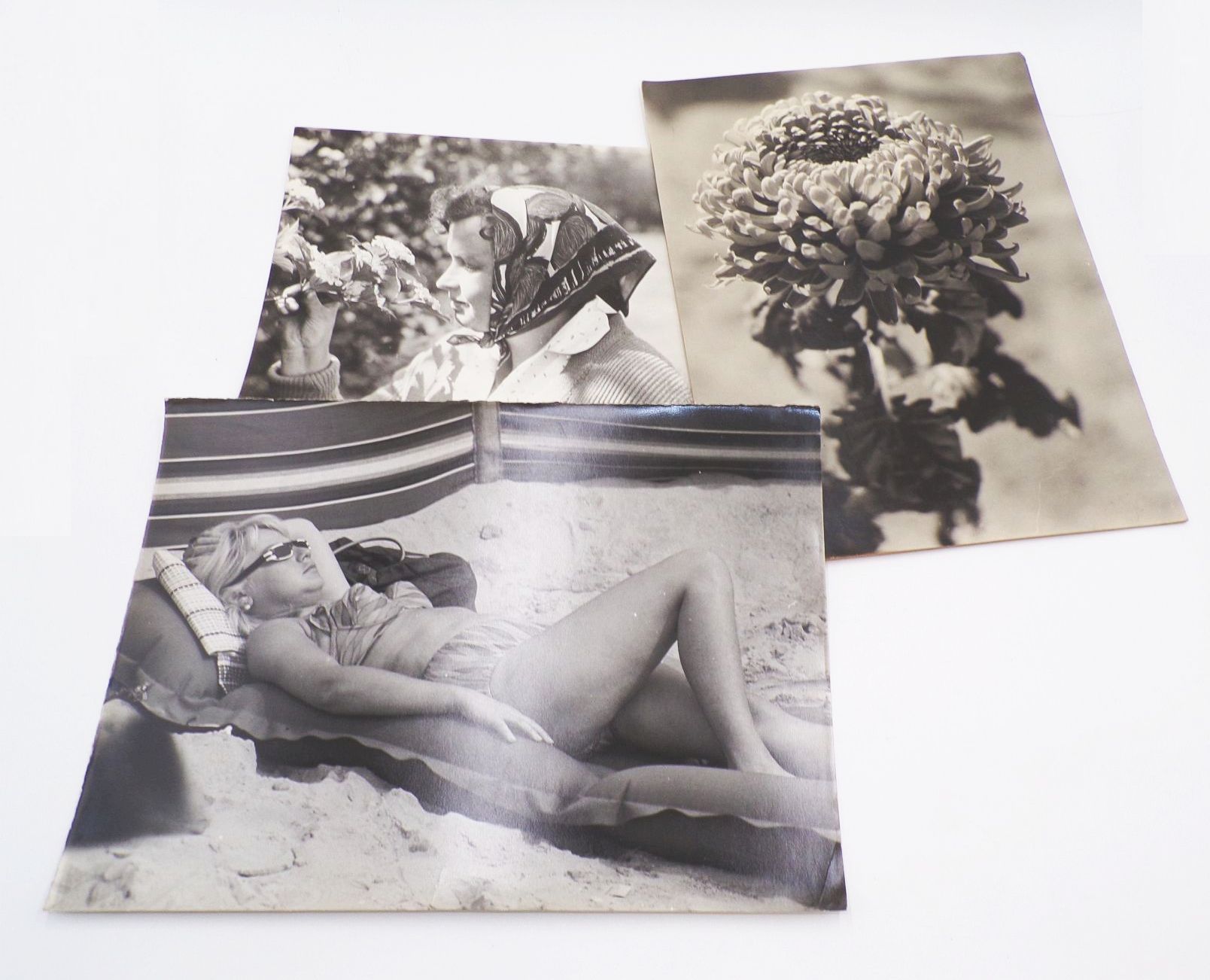 Konvolut Fotografien großformatig DDR Tiere Alltag Berufe Vintage Fotos Konvolut Fotografien großformatig DDR Tiere Alltag Berufe Vintage Fotos