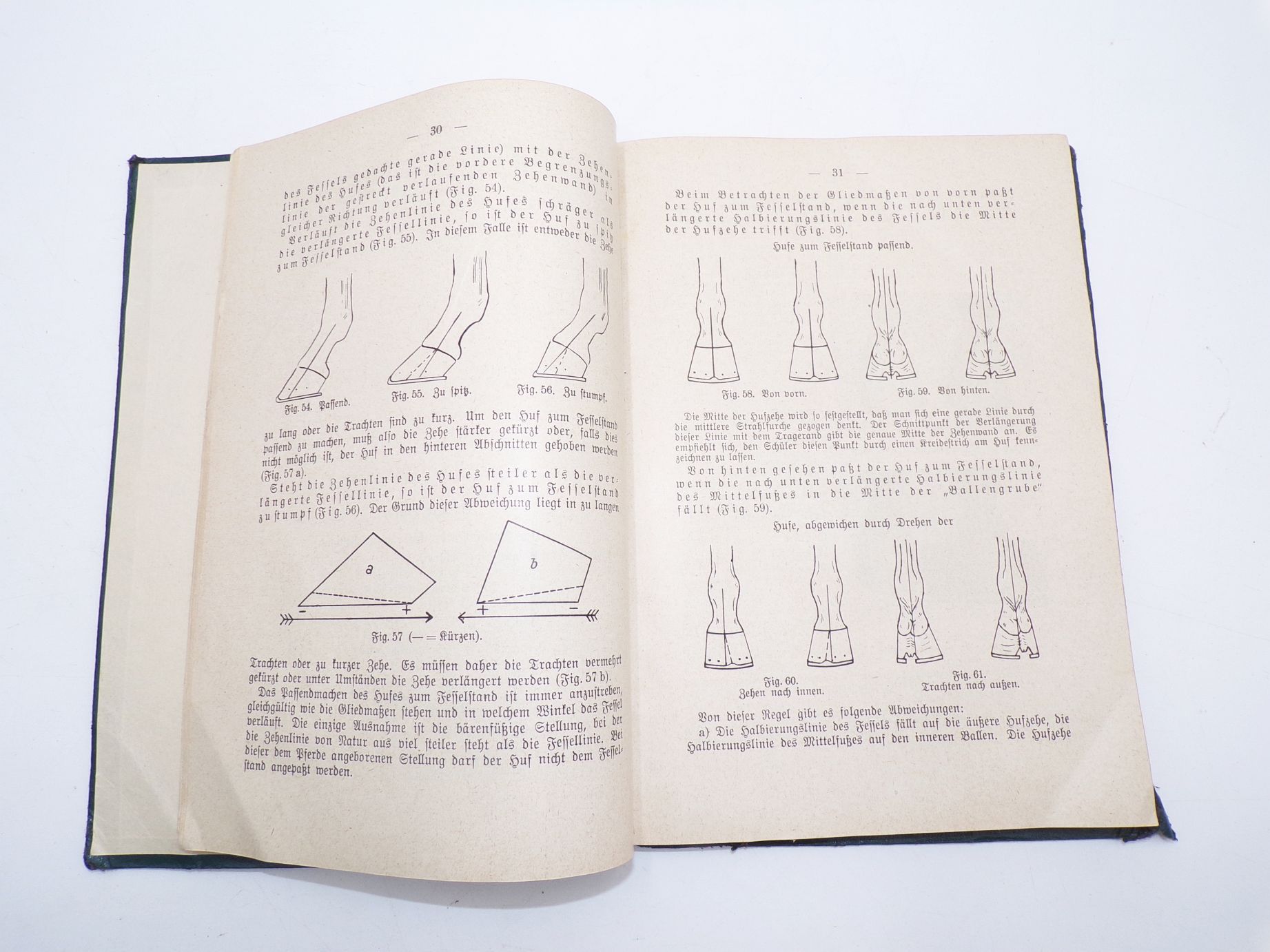 Handbuch des Hufbeschlages Theodor Bauer 1941 Buch Handbuch des Hufbeschlages Theodor Bauer 1941 Buch