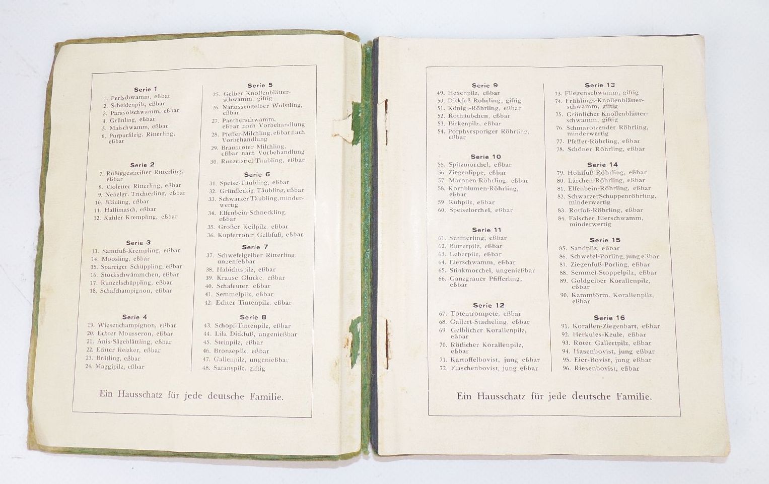 Einheimische Pilze Reunion Sammelbilderalbum Obercunnersdorf 