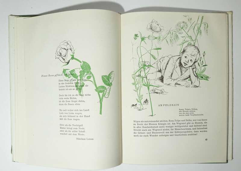 Abenteuer mit Blumen 1951 Elisabeth Schwarz Altberliner Verlag Lucie Groszer 