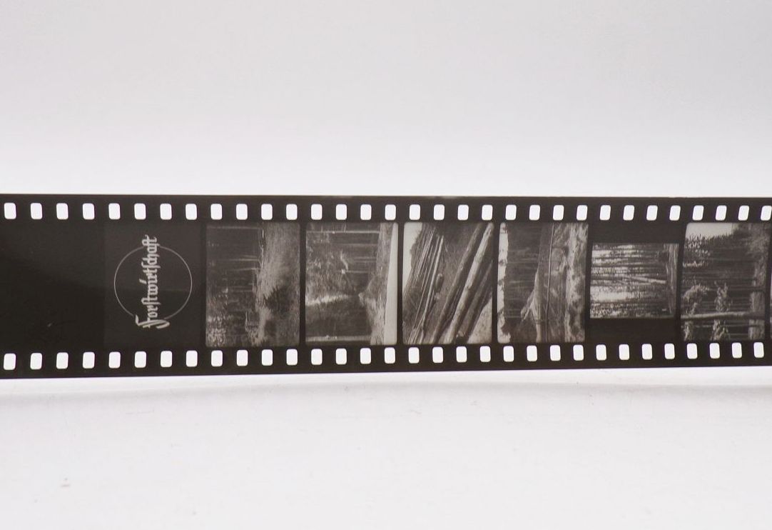 Rollfilm Bei den Holzfällern Waldwirtschaft 24 Bilder Forst Diafilm Rollfilm Bei den Holzfällern Waldwirtschaft 24 Bilder Forst Diafilm