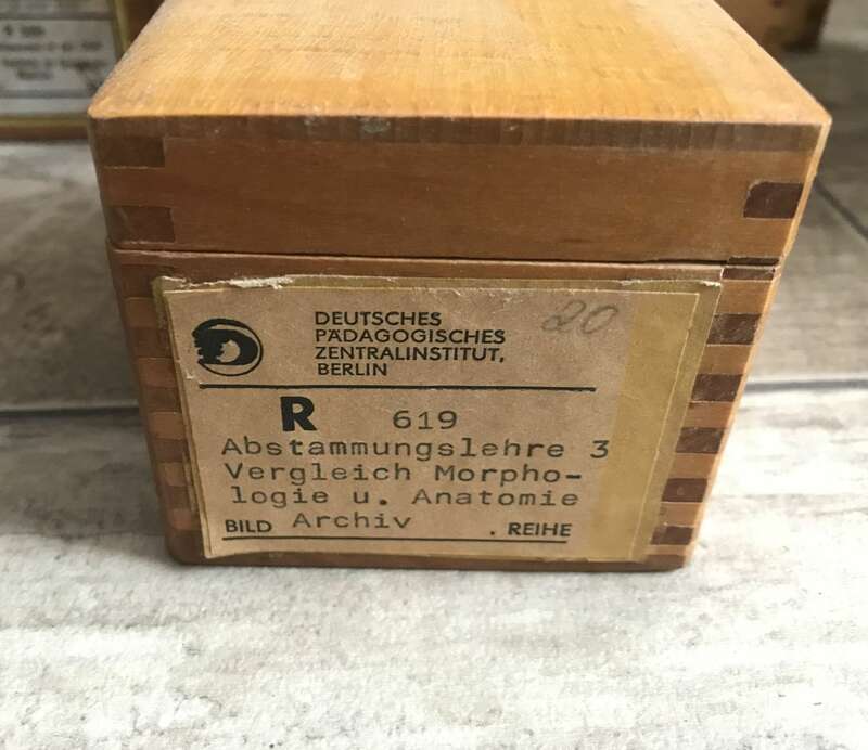 Foto Lehrmaterial Glasdias Länder Lehrmittel Sowjetunion DDR Deutschland Dias