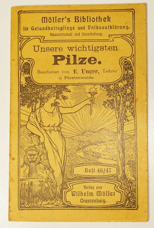 Unsere Wichtigsten Pilze Unger 1910er Möllers Bibliothek Chromolitho 
