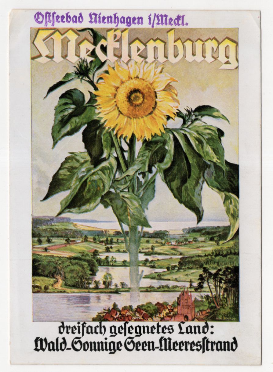 Künstler Ak Mecklenburg Ostseebad Nienhagen Verkehrsverband Rostock 