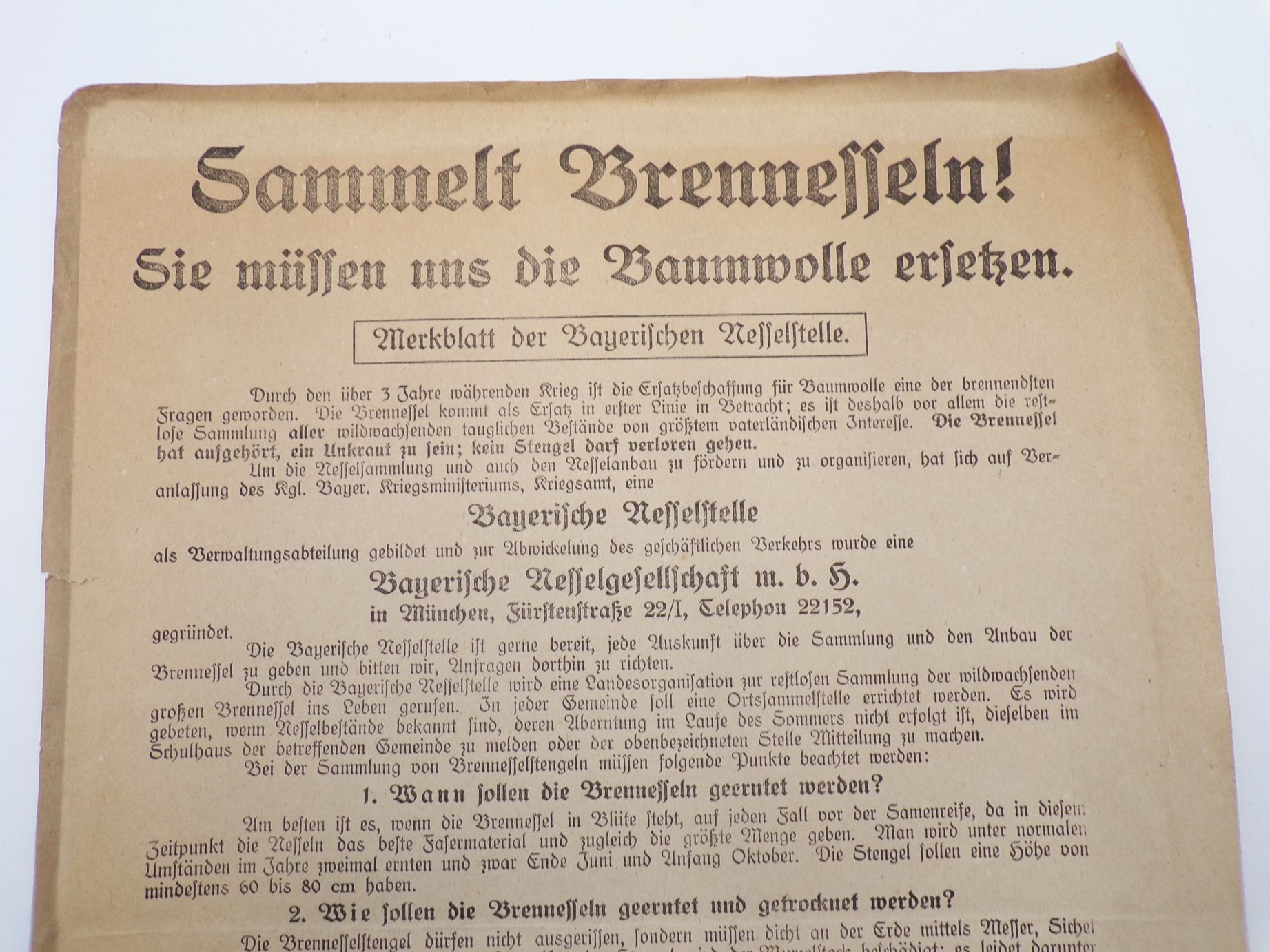 Aushang Flugblatt Sammelt Brennnessel Baumwolle ersetzen 1 Wk WW1