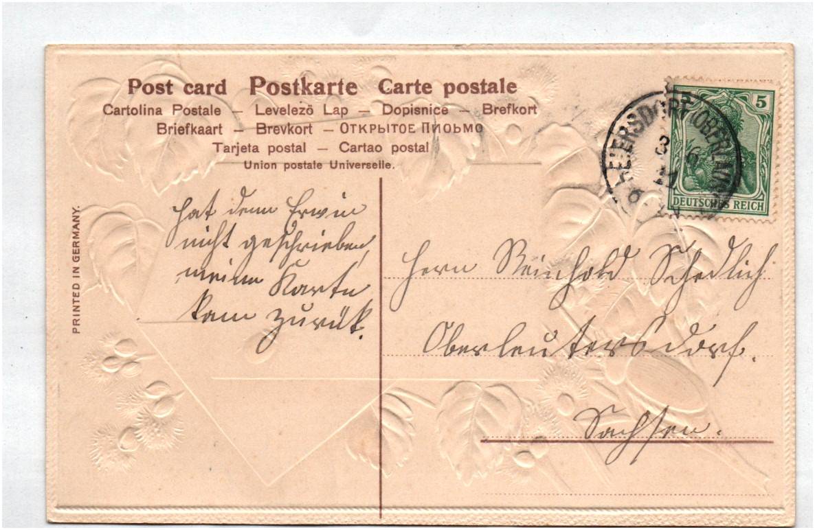 Präge Ak Maikäfer auf Weidenkätzchen Fröhliche Pfingsten 1911 