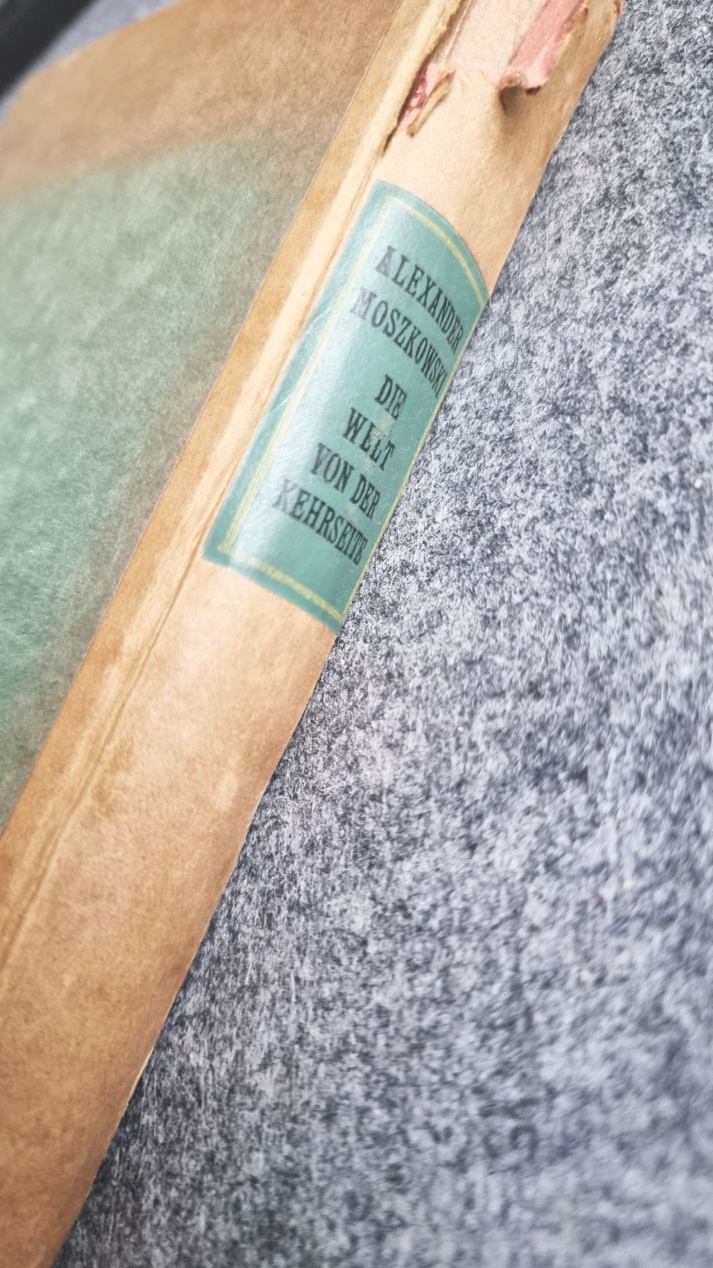 Die Welt von der Kehrseite Alexander Moszkowski 1920 altes Buch Die Welt von der Kehrseite Alexander Moszkowski 1920 altes Buch