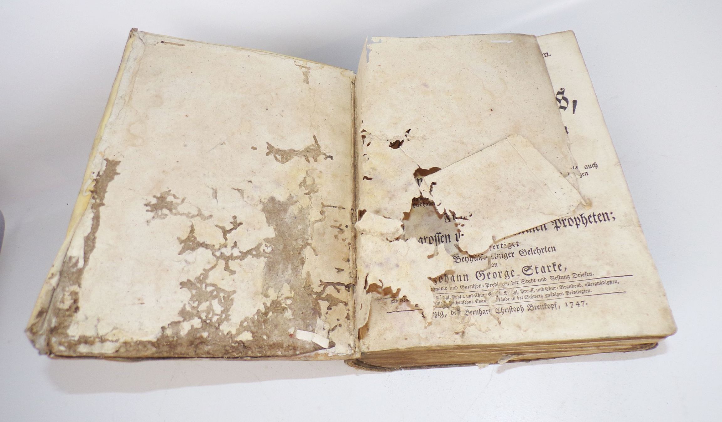 Synopsis Bibliothecæ Exegeticæ in Vetus Testamentum 1747 Testament Buch