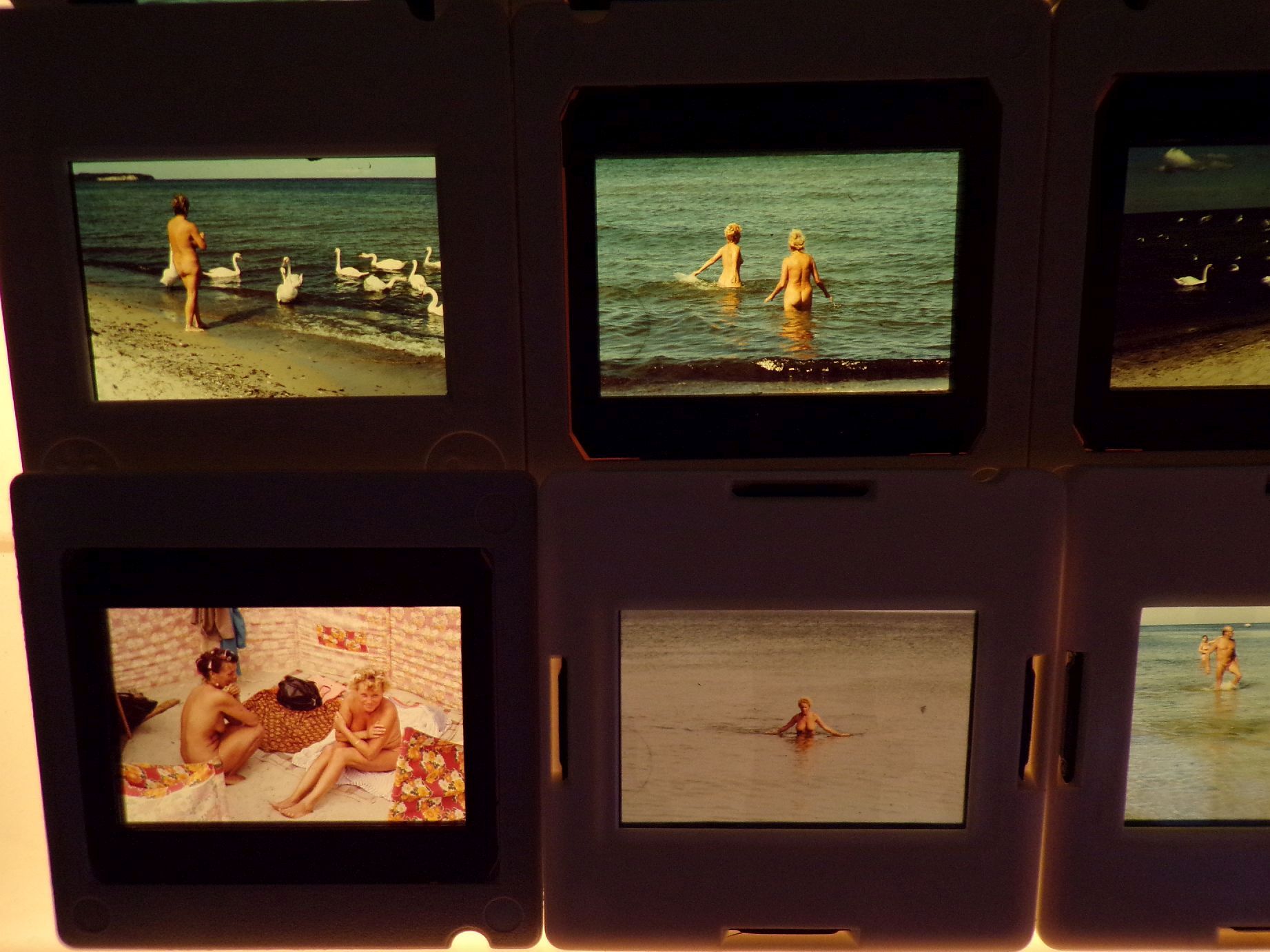 Dia Konvolut DDR Urlaub Ostsee Nackte Frauen Männer 