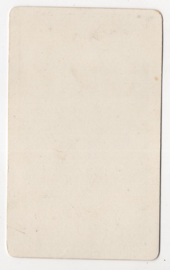 Koloriertes CDV Foto Alpenveilchen Botanik Pflanze um 1880 koloriert vintage Koloriertes CDV Foto Alpenveilchen Botanik Pflanze um 1880 koloriert vintage