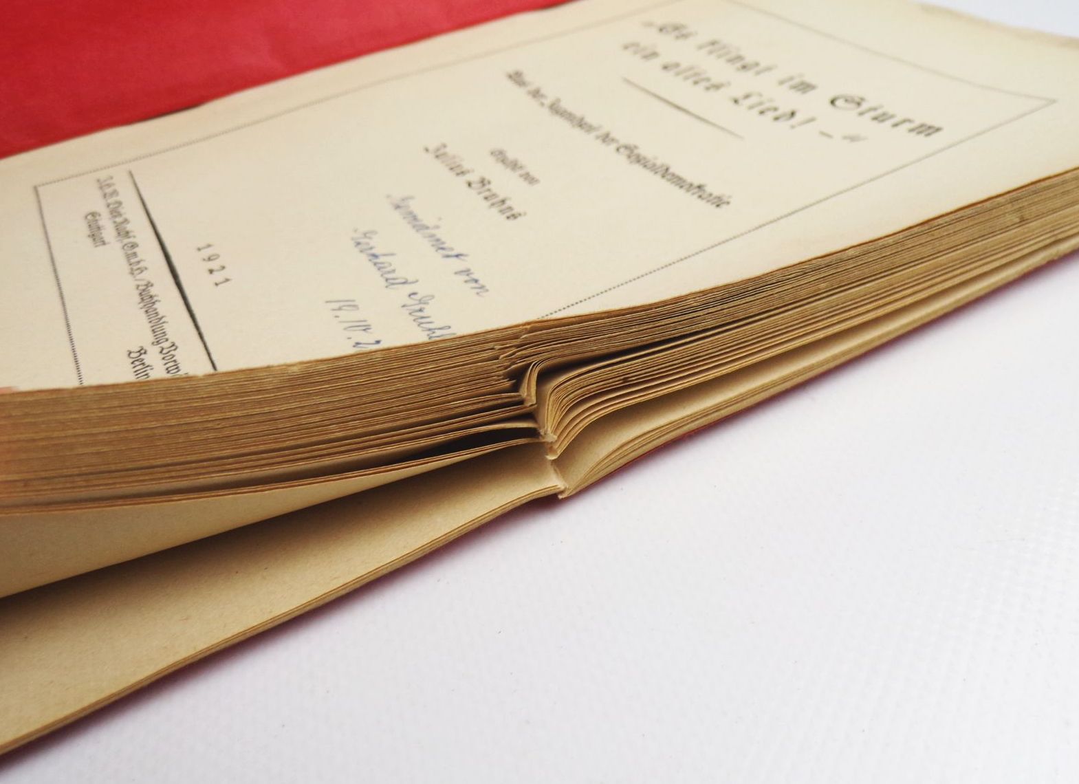 Es klingt im Sturm ein altes Lied Julius Bruhns Jugendzeit Sozialdemokratie