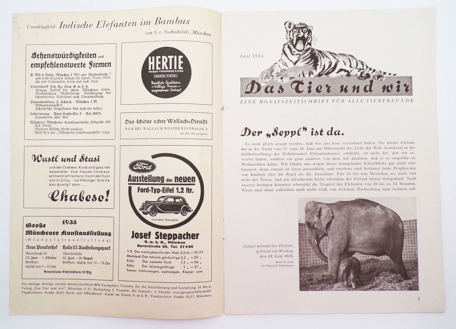 Das Tier und Wir Tierpark Zeitung München Juni 1935 Suchodolski Elefanten