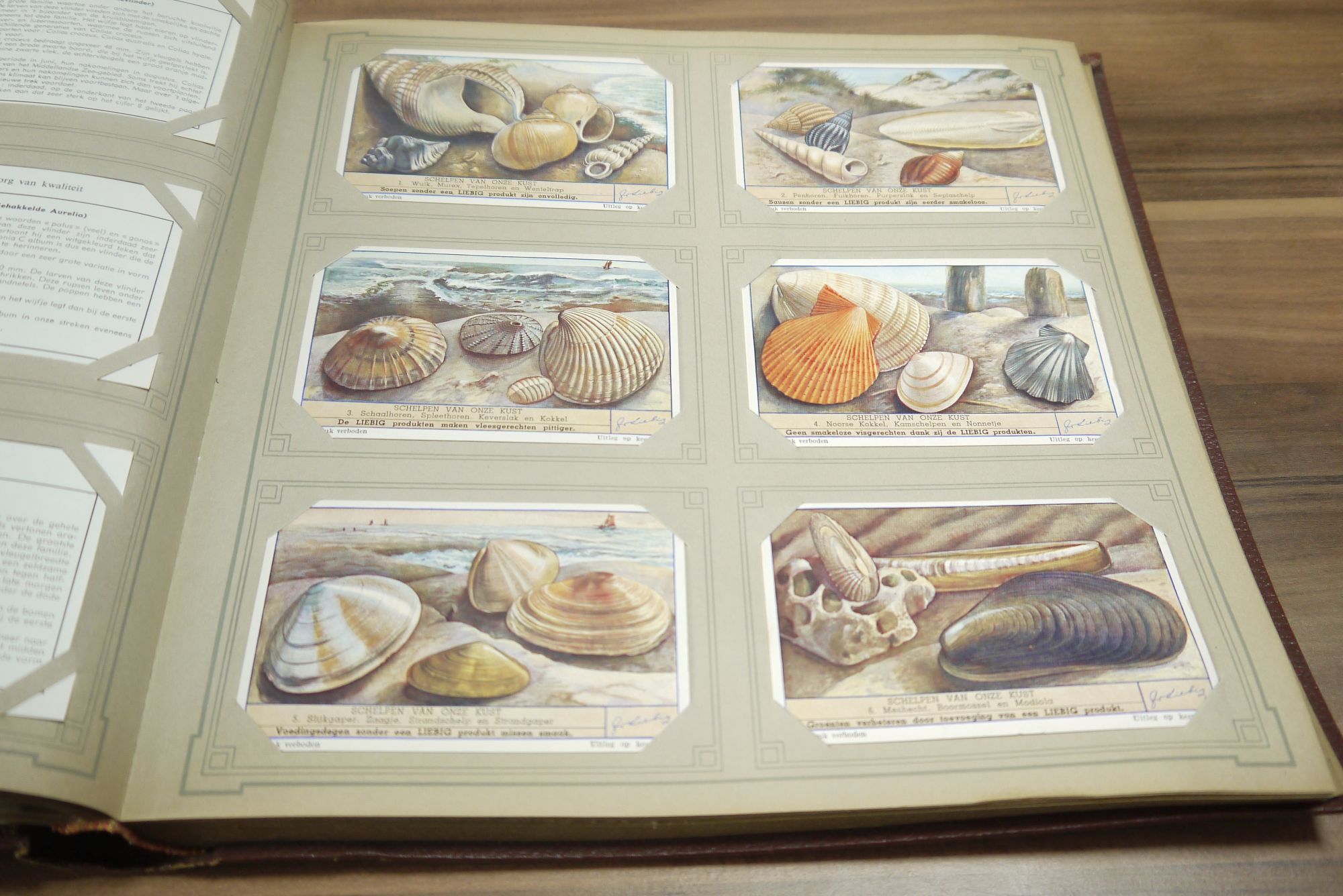 Liebig Album Chromo ca 50 Seiten 296 Karten Sammelbilder