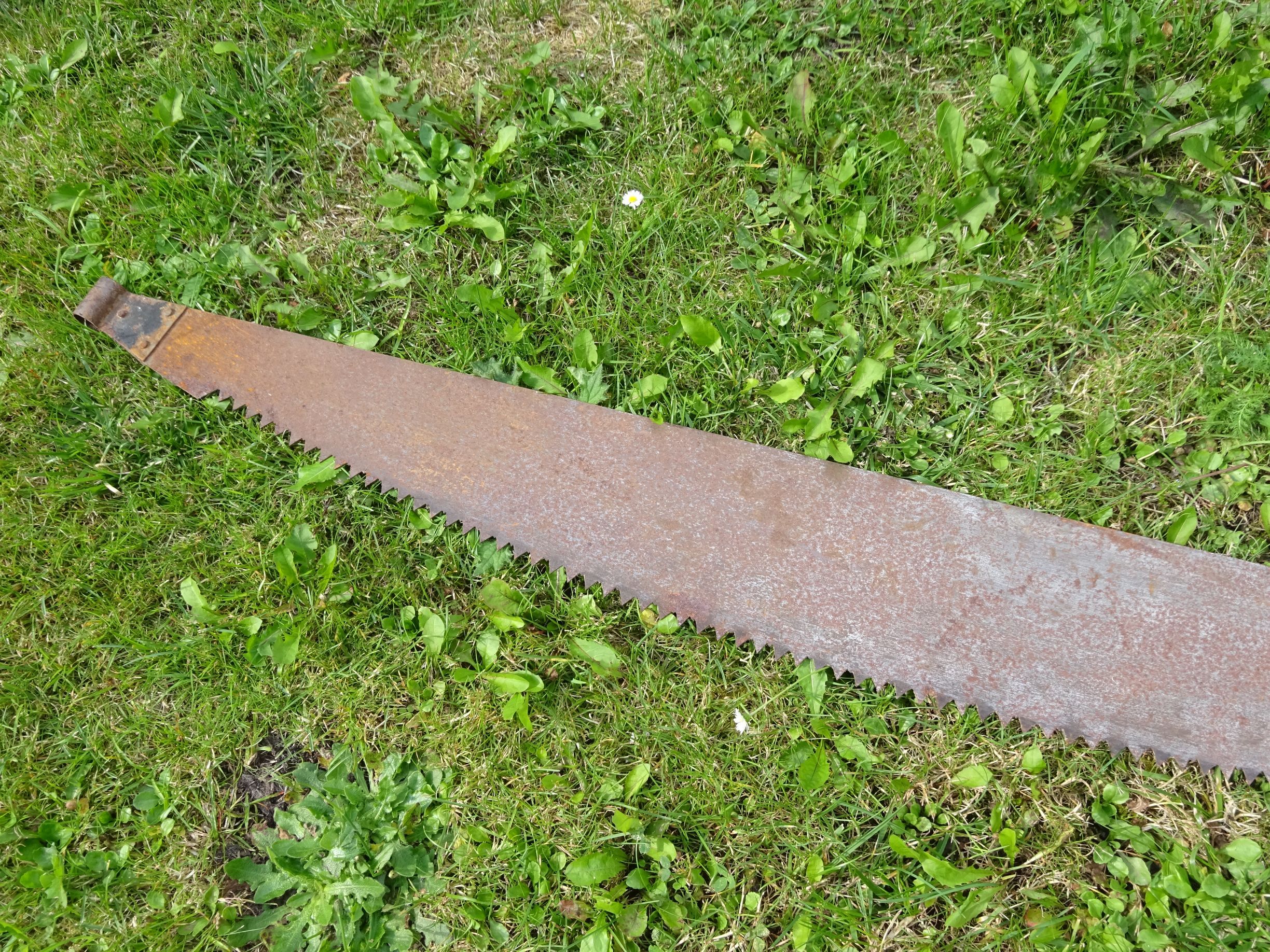 Alte Schrotsäge Hochzeit Zweimannsäge 129 cm Holzsäge vintage Alte Schrotsäge Hochzeit Zweimannsäge 129 cm Holzsäge vintage