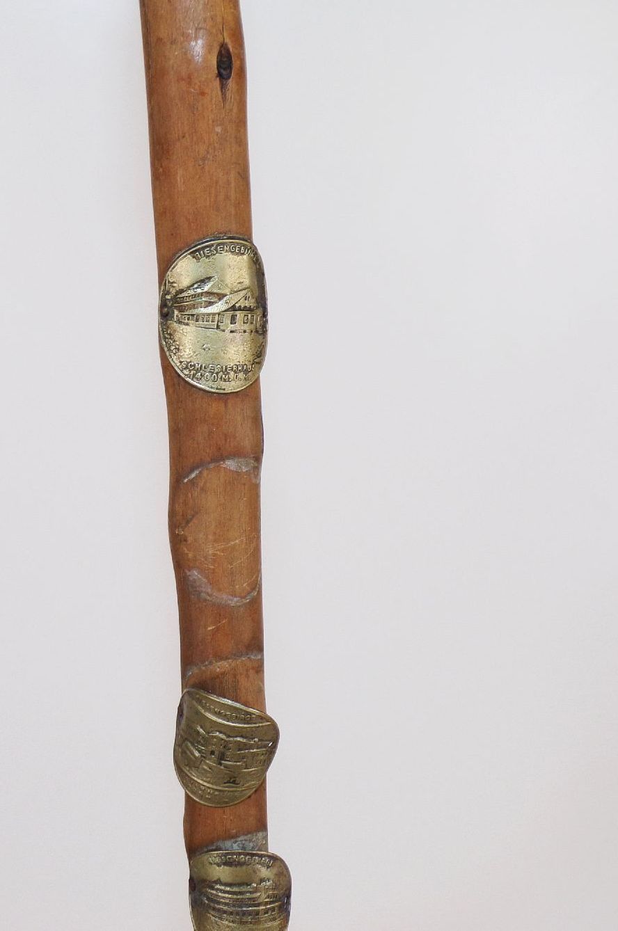 Alter Wanderstock mit Riesengebirge Stocknägeln old Spazierstock 