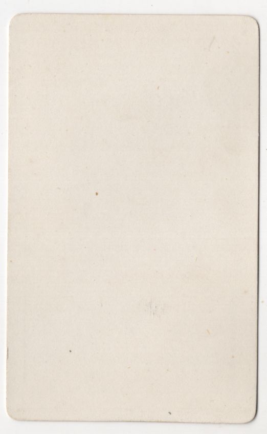 Altes CDV Foto Schiefblatt Amaryllis Blume Botanik Pflanze um 1880 koloriert Altes CDV Foto Schiefblatt Amaryllis Blume Botanik Pflanze um 1880 koloriert