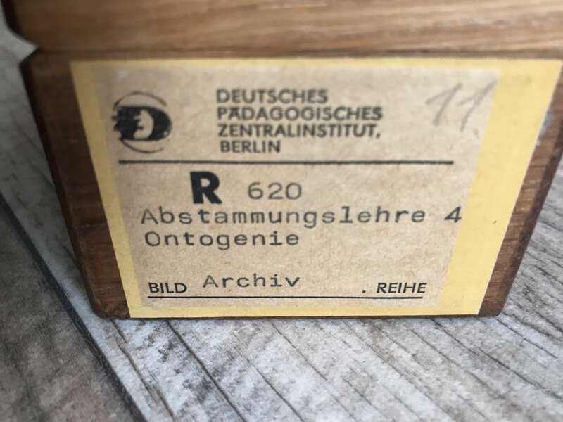 Foto Lehrmaterial Glasdias Länder Lehrmittel Sowjetunion DDR Deutschland Dias