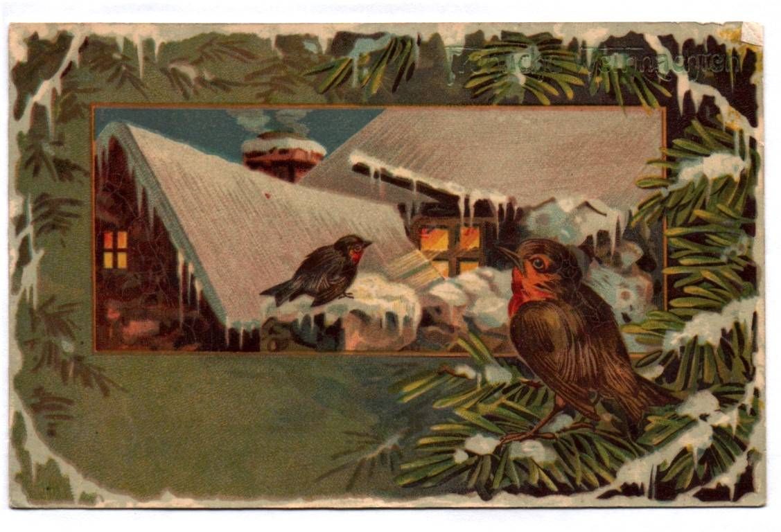 Fröhliche Weihnachten Ak Vögel im Winter 1909 