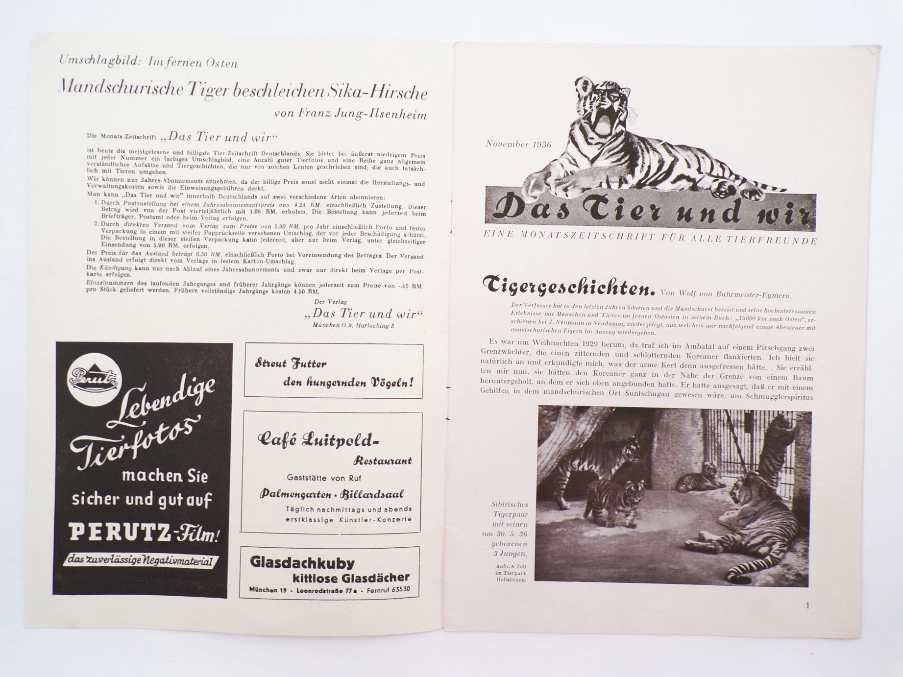 Old Tierpark Zeitung Hellbrunn München Franz Jung Ilsenheim November 1936 Old Tierpark Zeitung Hellbrunn München Franz Jung Ilsenheim November 1936