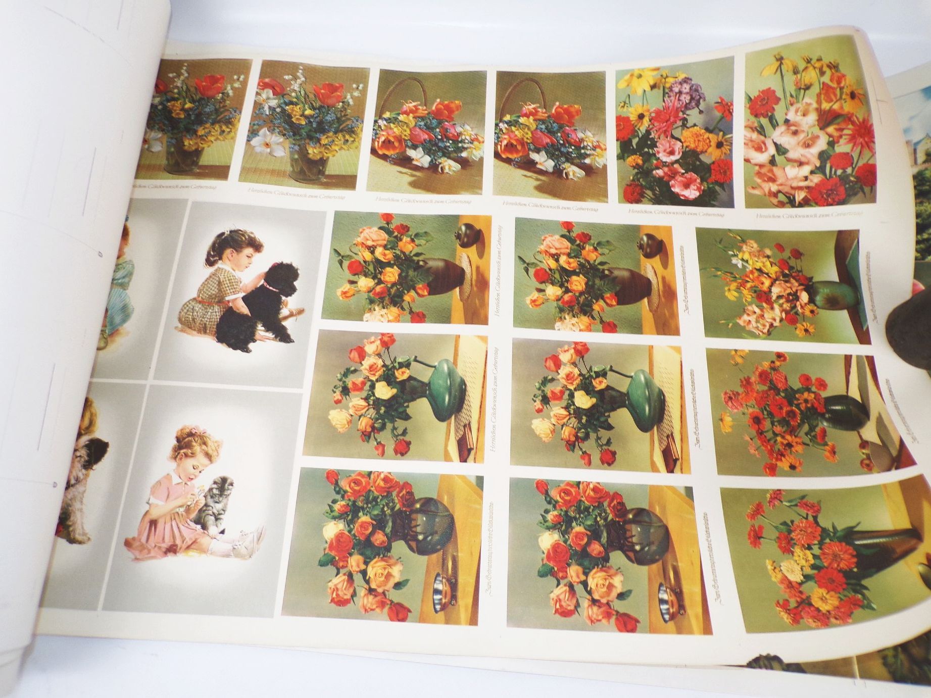 Druckbögen Muster DDR Ansichtskarten Postkarten Mecki Blumen Künster 
