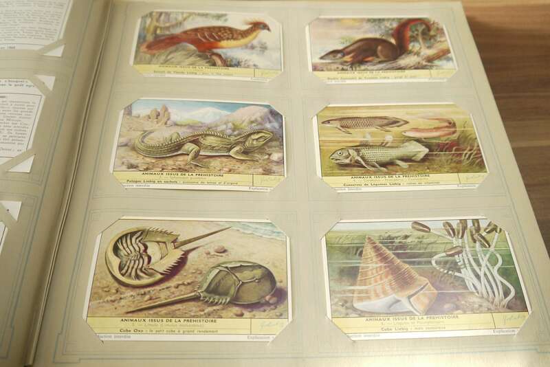 Chromo Sammelalbum ca 51 Seiten 306 Liebig Sammelbilder