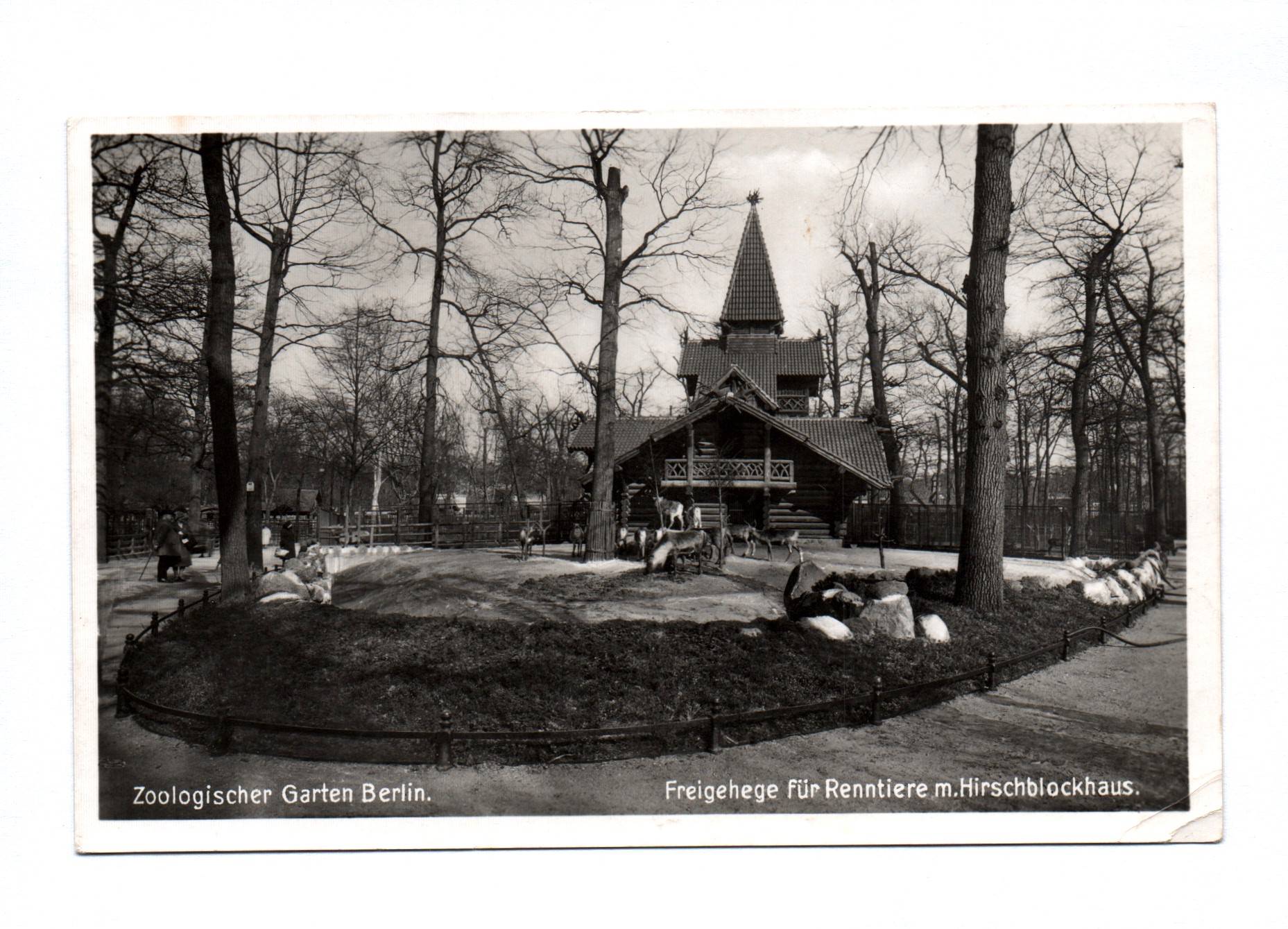 Foto Ak Zoologischer Garten Berlin 1938 Hirschblockhaus Freigehege Foto Ak Zoologischer Garten Berlin 1938 Hirschblockhaus Freigehege