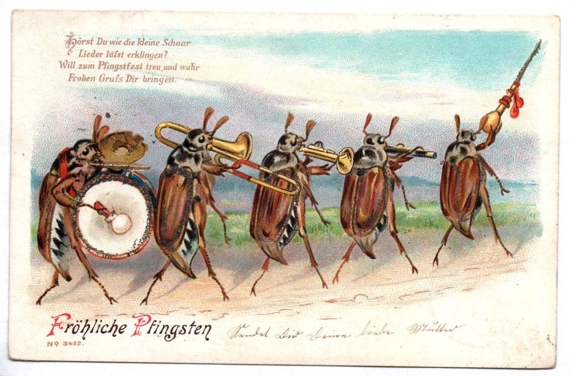 Litho Ak Maikäfer Musikkapelle Fröhliche Pfingsten 1901 Glimmer 