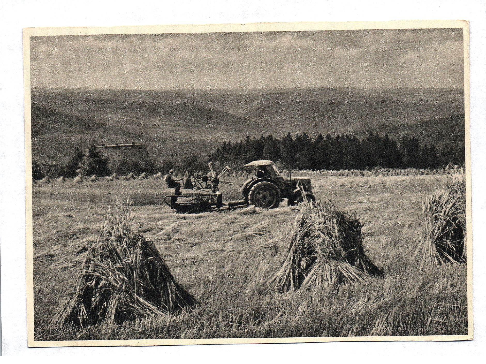 Foto Ak Ernte im Erzgebirge Aus dem Kalender zwischen Brocken und Oybin 1962