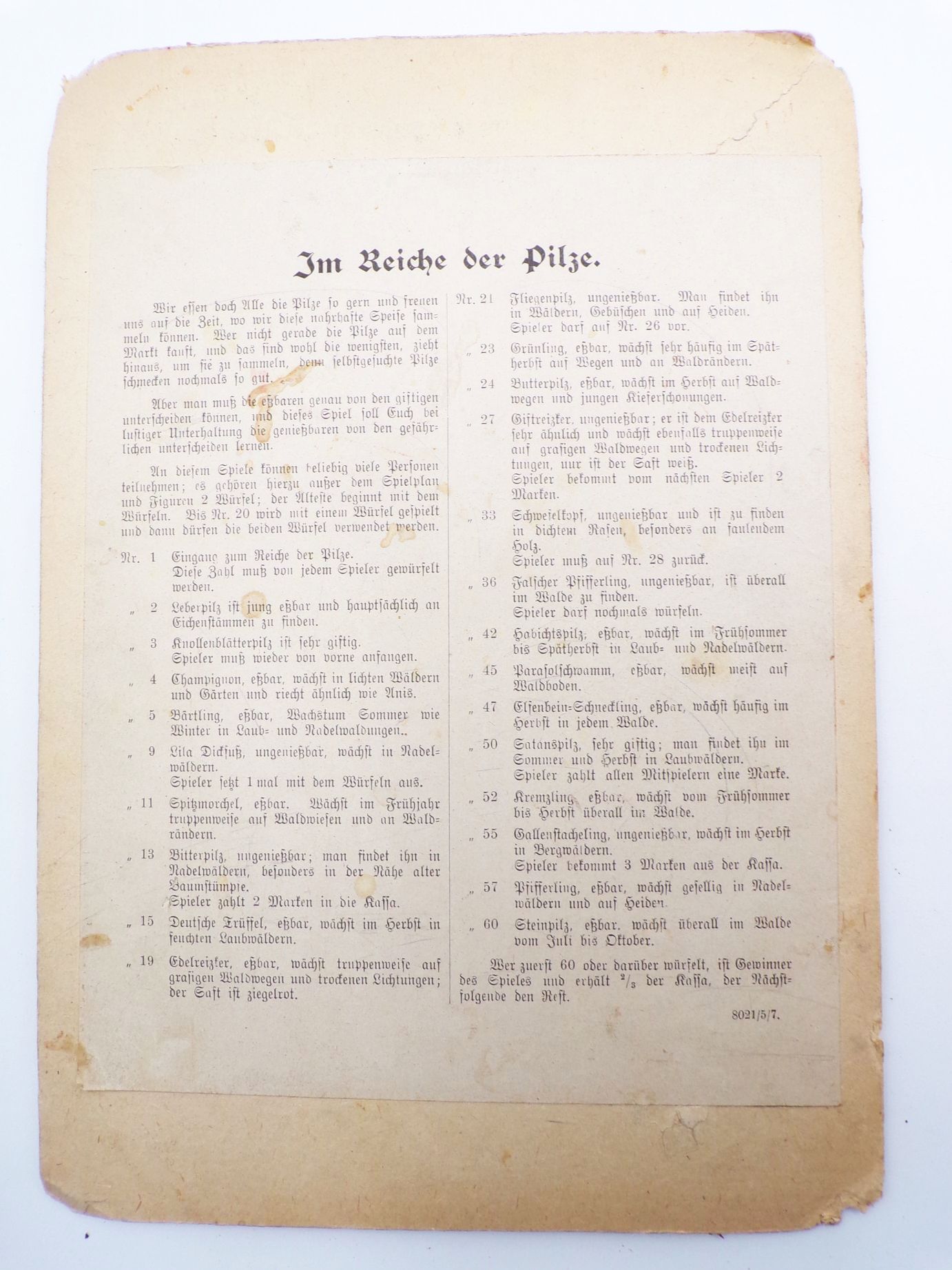 Klee Im Reiche der Pilze Wichtel Zwerge um 1920 Spielplan Brettspiel Klee Im Reiche der Pilze Wichtel Zwerge um 1920 Spielplan Brettspiel